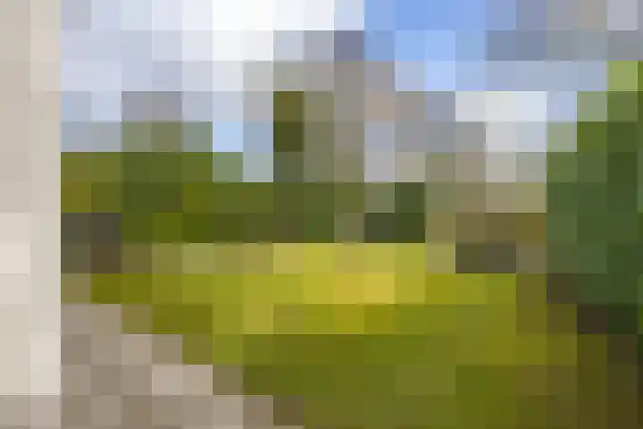 Oosterzoom 59 Peize thumbnail 59