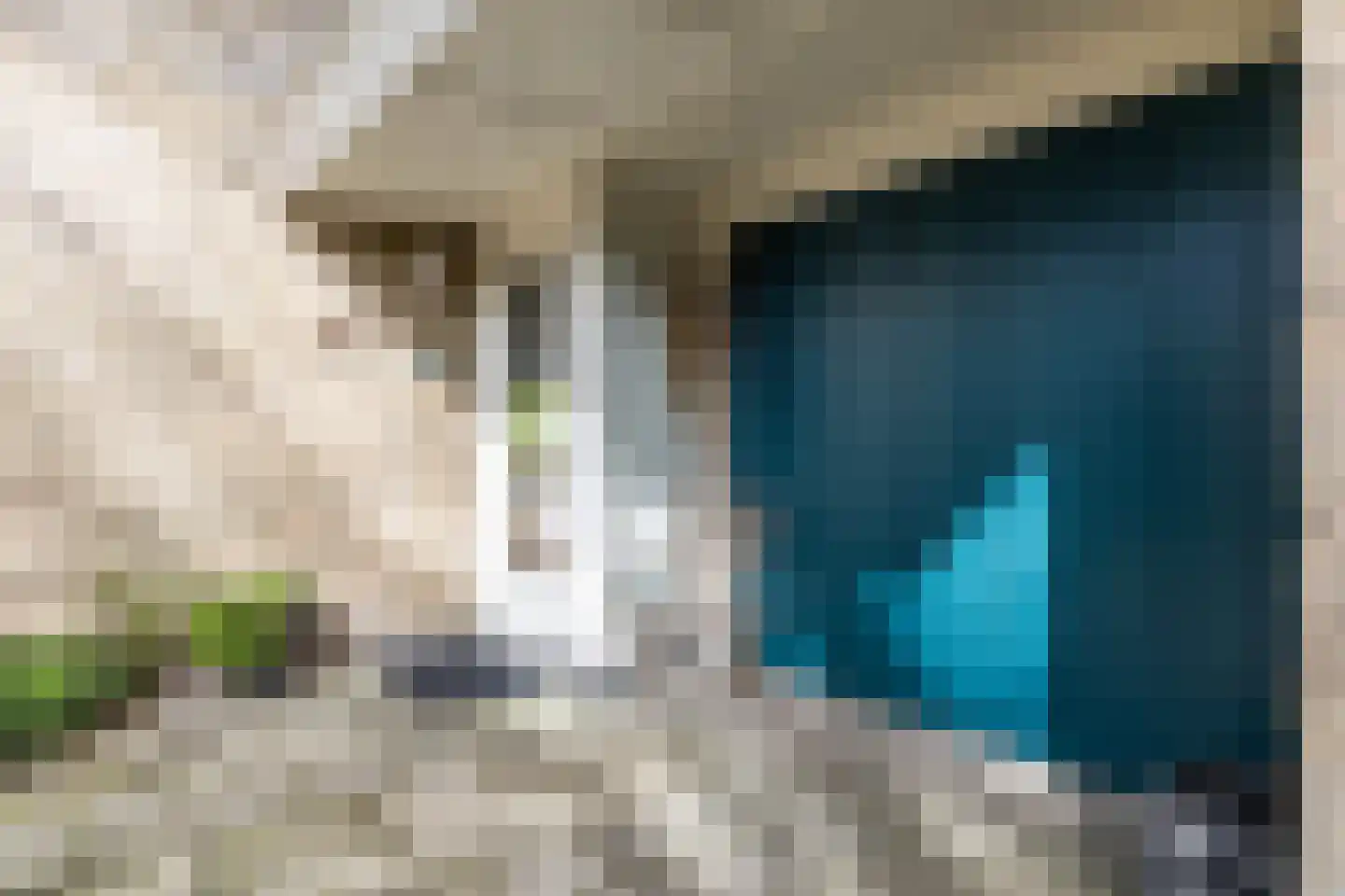 Oosterzoom 59 Peize thumbnail 6