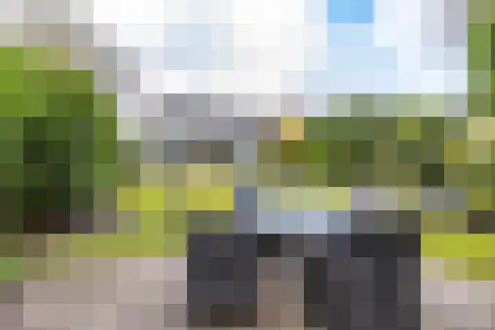 Oosterzoom 59 Peize thumbnail 60