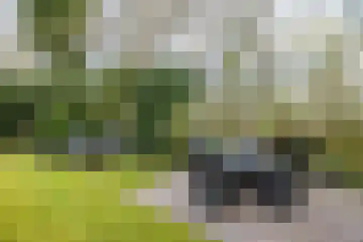 Oosterzoom 59 Peize thumbnail 61