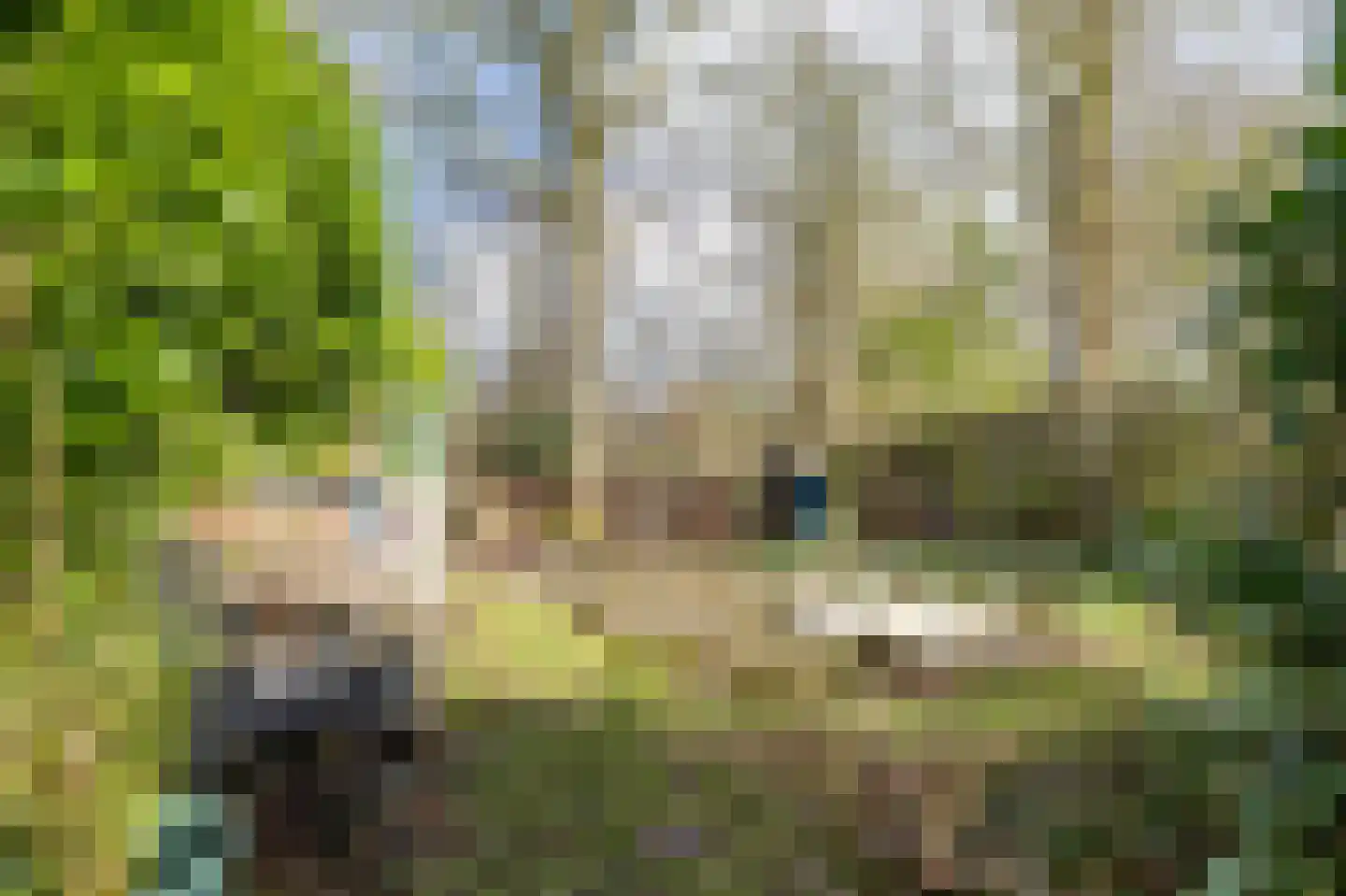 Oosterzoom 59 Peize thumbnail 62