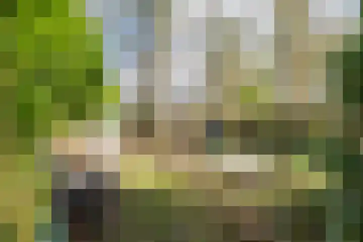 Oosterzoom 59 Peize thumbnail 62