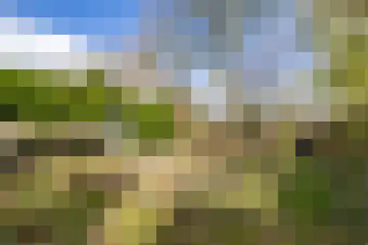 Oosterzoom 59 Peize thumbnail 63