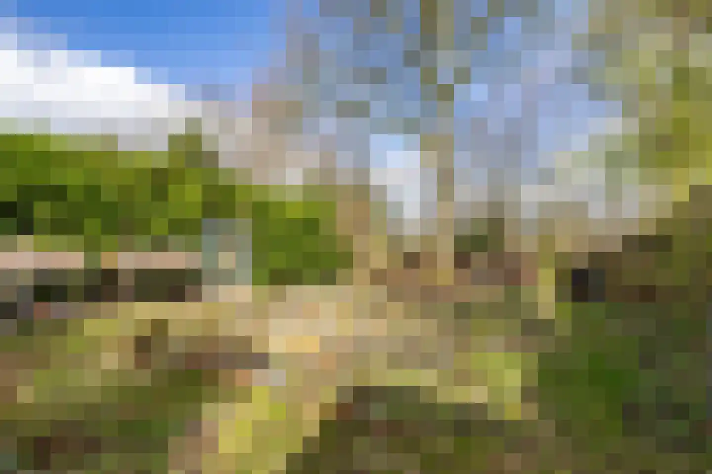 Oosterzoom 59 Peize thumbnail 63