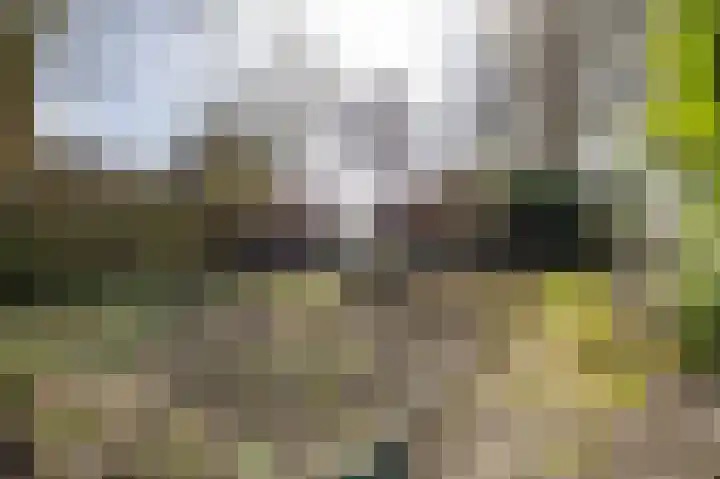 Oosterzoom 59 Peize thumbnail 64
