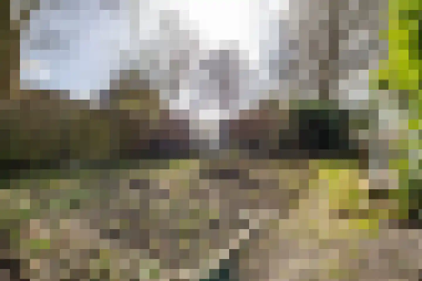 Oosterzoom 59 Peize thumbnail 64