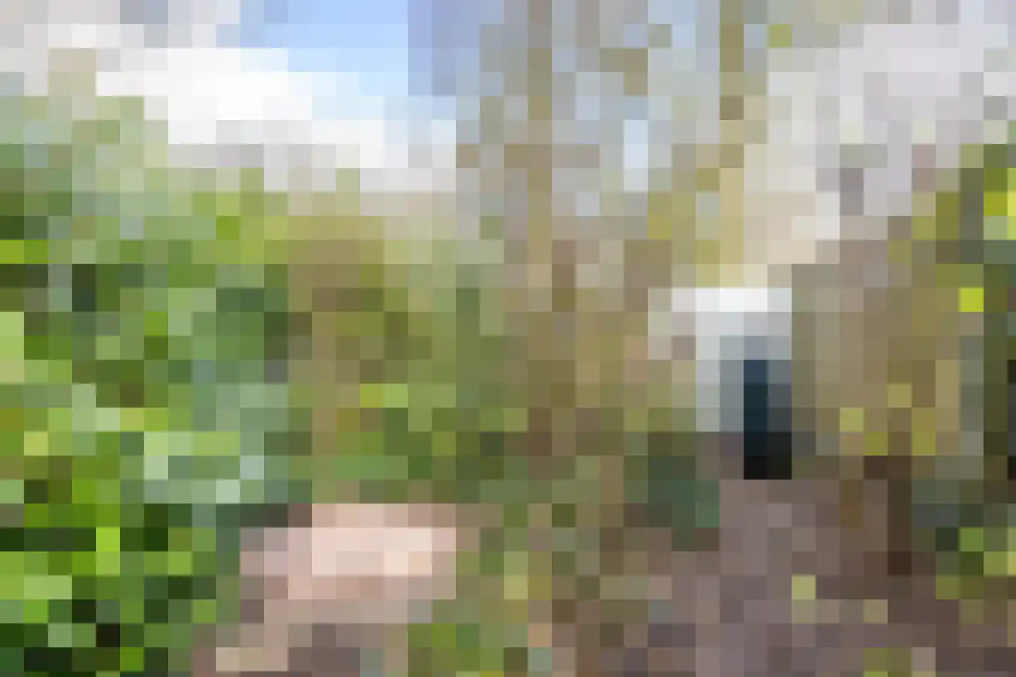 Oosterzoom 59 Peize thumbnail 65