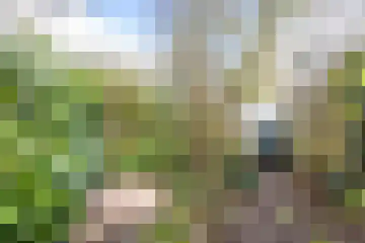 Oosterzoom 59 Peize thumbnail 65