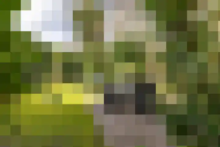 Oosterzoom 59 Peize thumbnail 66