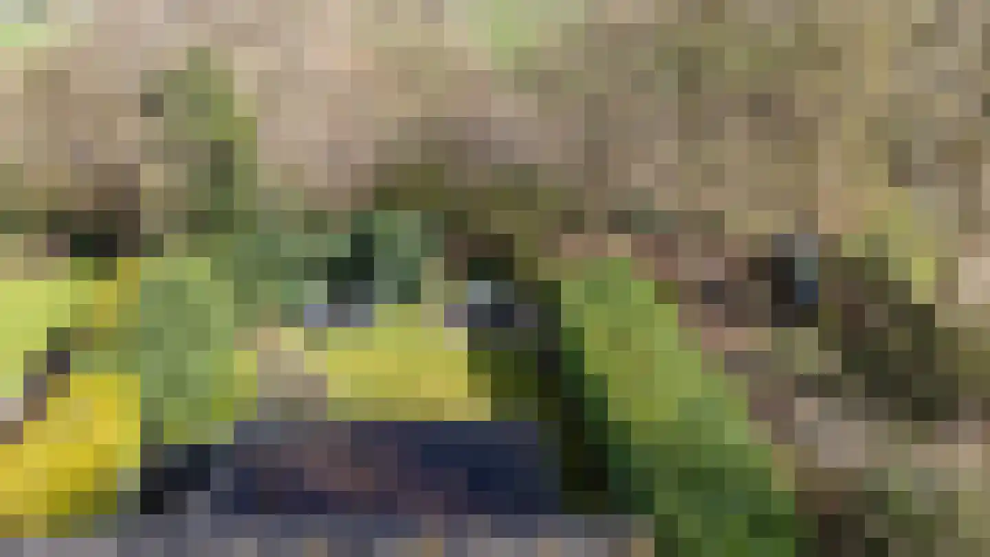 Oosterzoom 59 Peize thumbnail 67