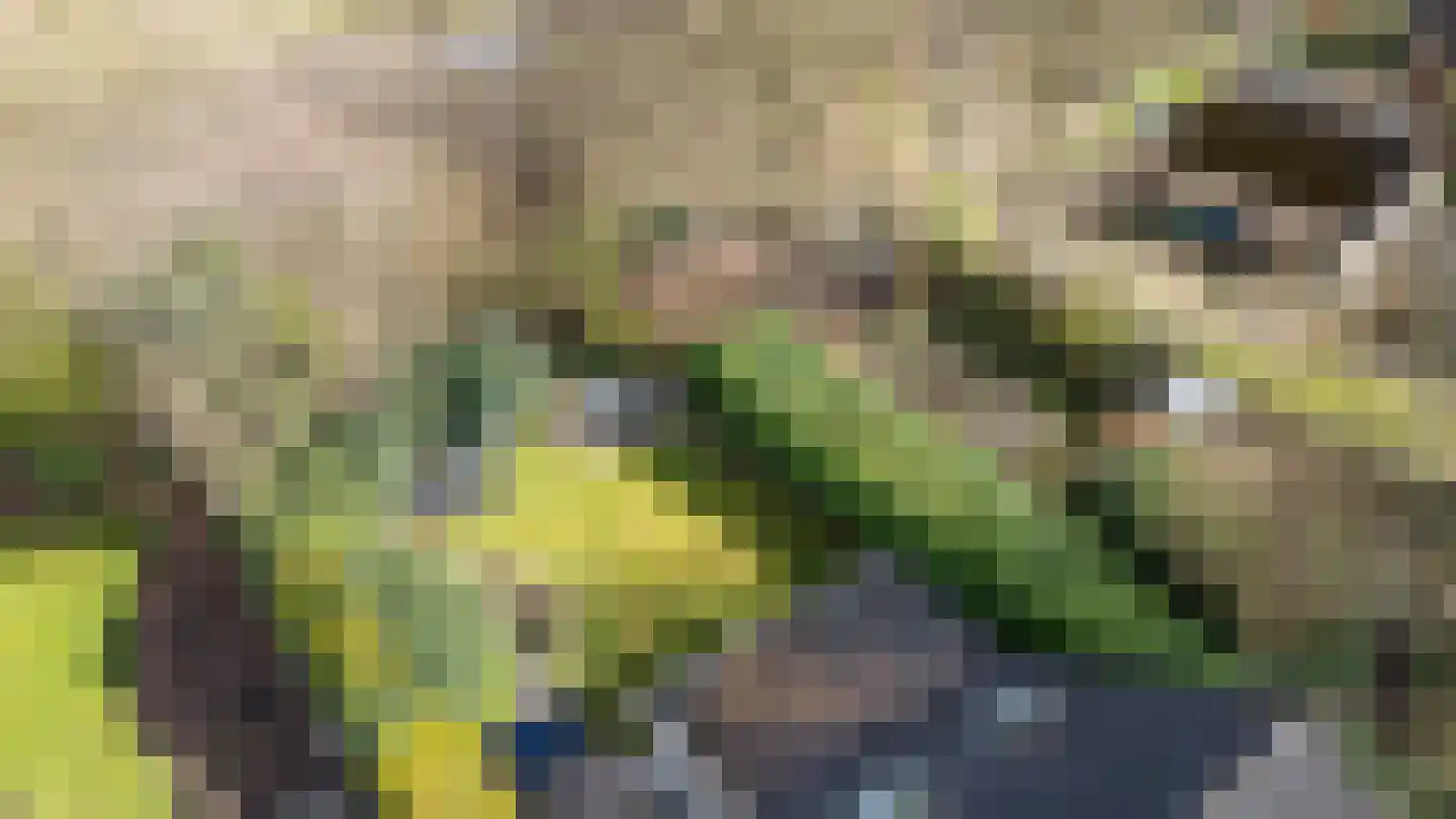 Oosterzoom 59 Peize thumbnail 68