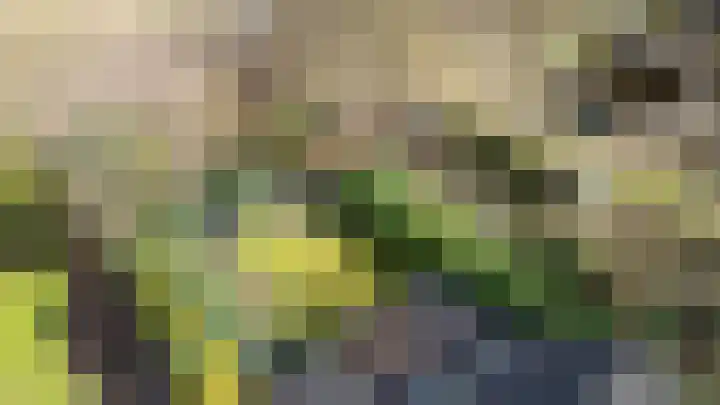 Oosterzoom 59 Peize thumbnail 68