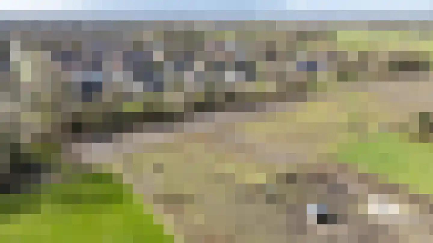 Oosterzoom 59 Peize thumbnail 69