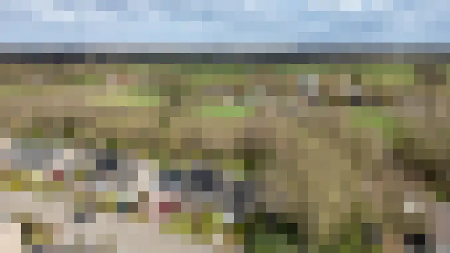 Oosterzoom 59 Peize thumbnail 70