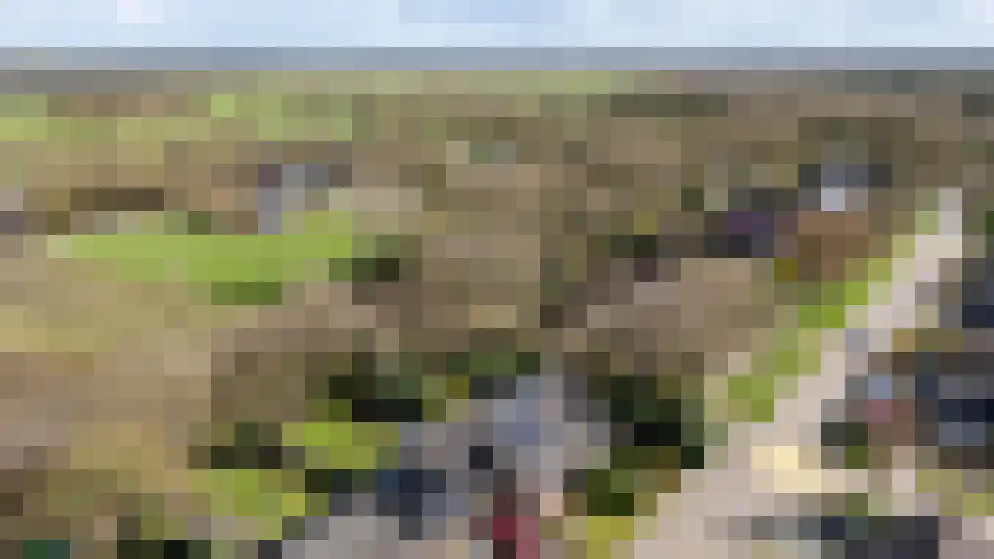 Oosterzoom 59 Peize thumbnail 71