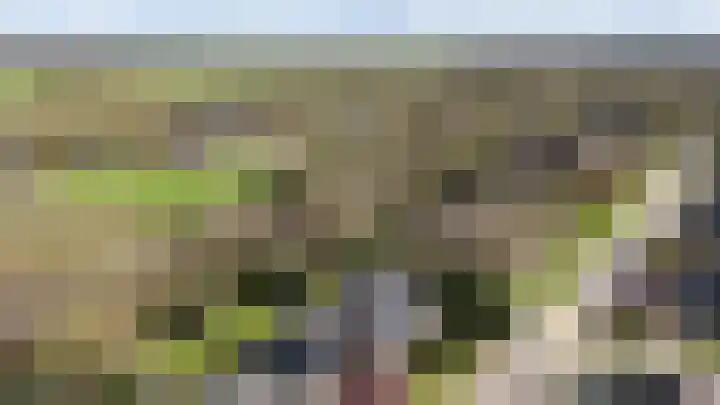 Oosterzoom 59 Peize thumbnail 71