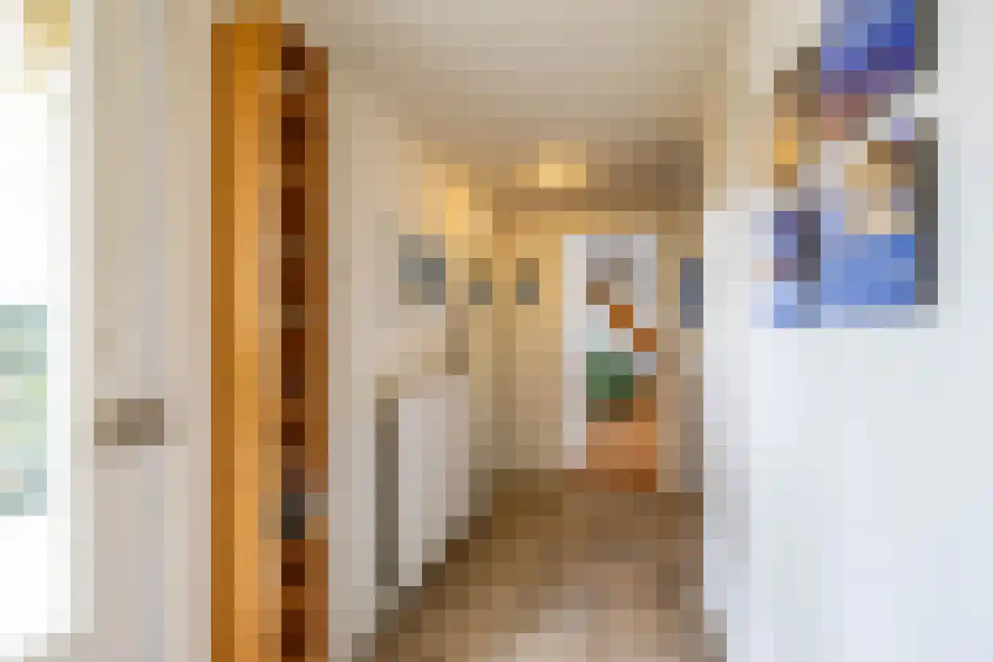 Oosterzoom 59 Peize thumbnail 8