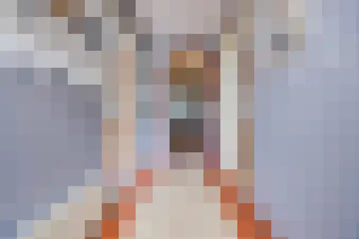Oostgaag 27 Maasland thumbnail 16