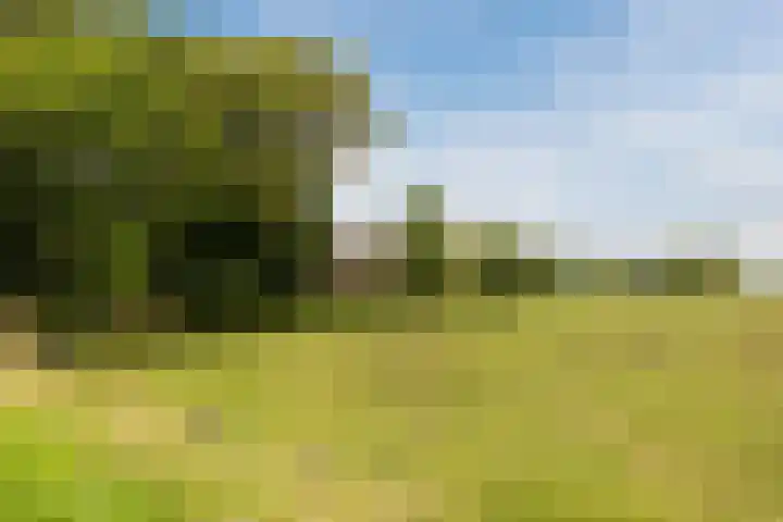 Oostgaag 27 Maasland foto 2