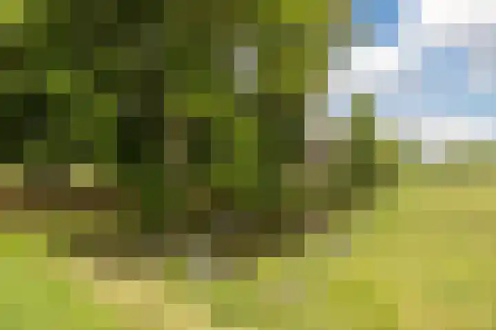 Oostgaag 27 Maasland foto 3