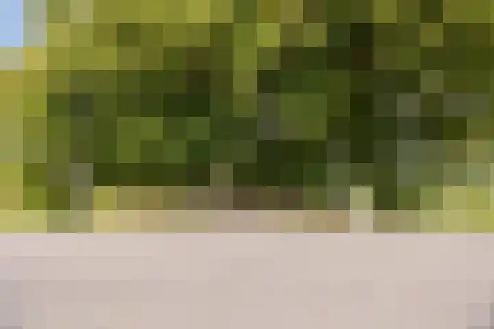 Oostgaag 27 Maasland thumbnail 4