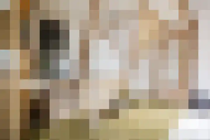 Oostgaag 27 Maasland thumbnail 47