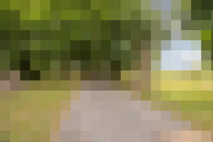 Oostgaag 27 Maasland thumbnail 5