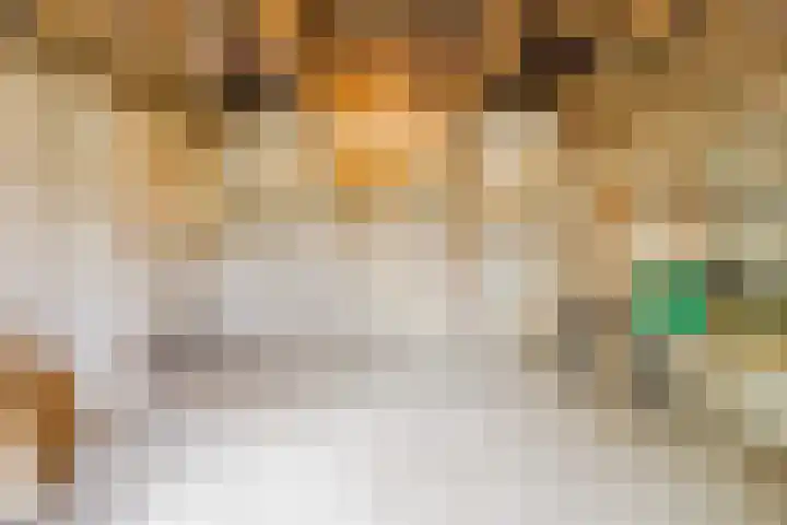Oostgaag 27 Maasland thumbnail 56