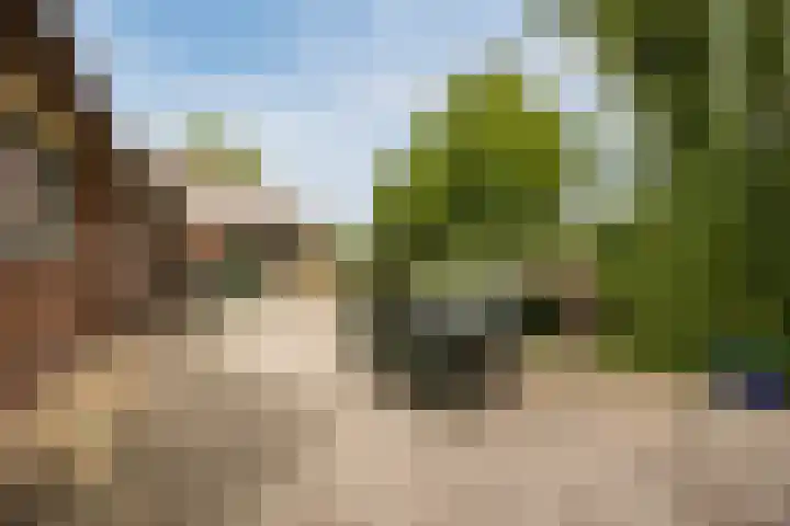 Oostgaag 27 Maasland thumbnail 58