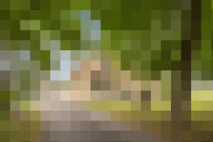 Oostgaag 27 Maasland thumbnail 6