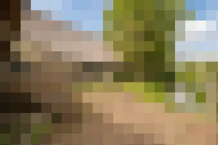 Oostgaag 27 Maasland thumbnail 60