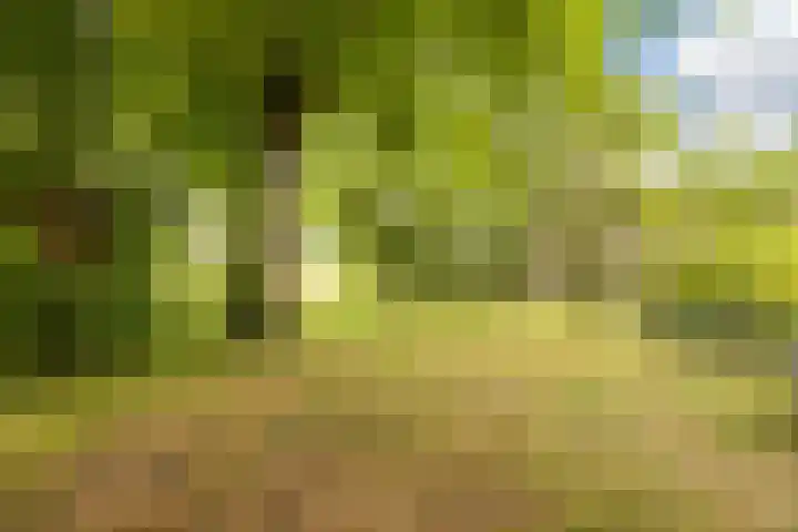 Oostgaag 27 Maasland thumbnail 61