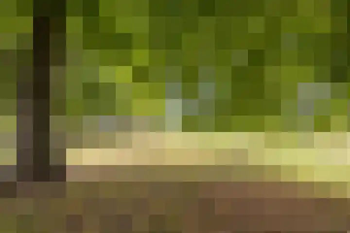 Oostgaag 27 Maasland thumbnail 62