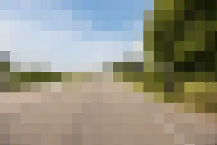 Oostgaag 27 Maasland thumbnail 64