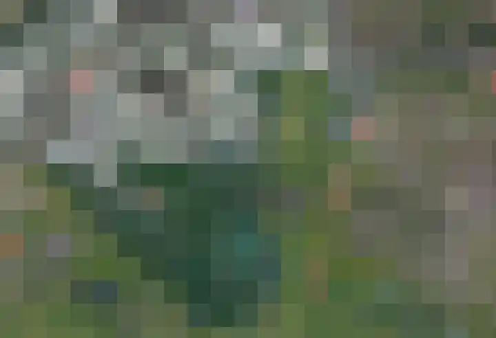 Oostgaag 27 Maasland thumbnail 66