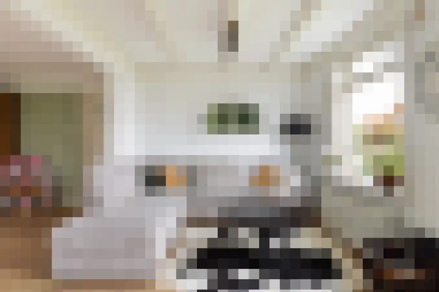 Oostgaag 35 Maasland thumbnail 18