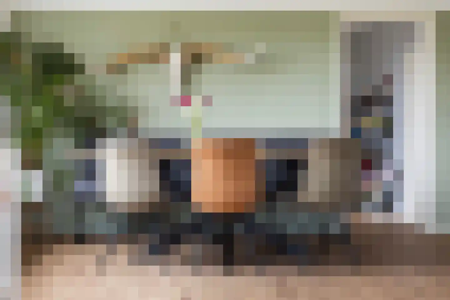 Oostgaag 35 Maasland thumbnail 20