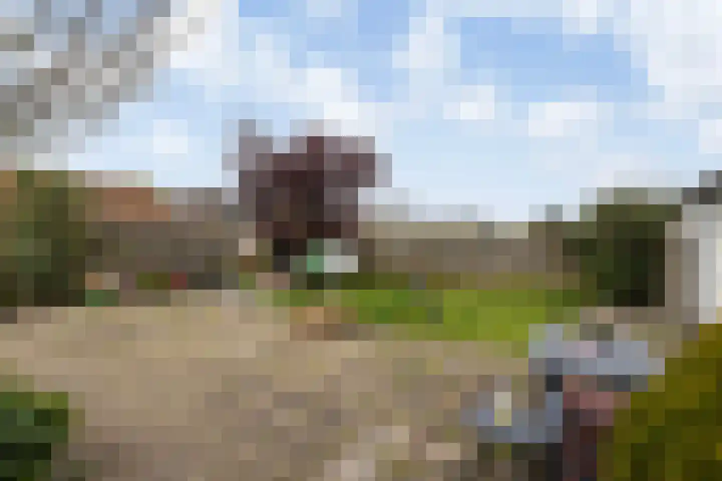 Oostgaag 35 Maasland thumbnail 27