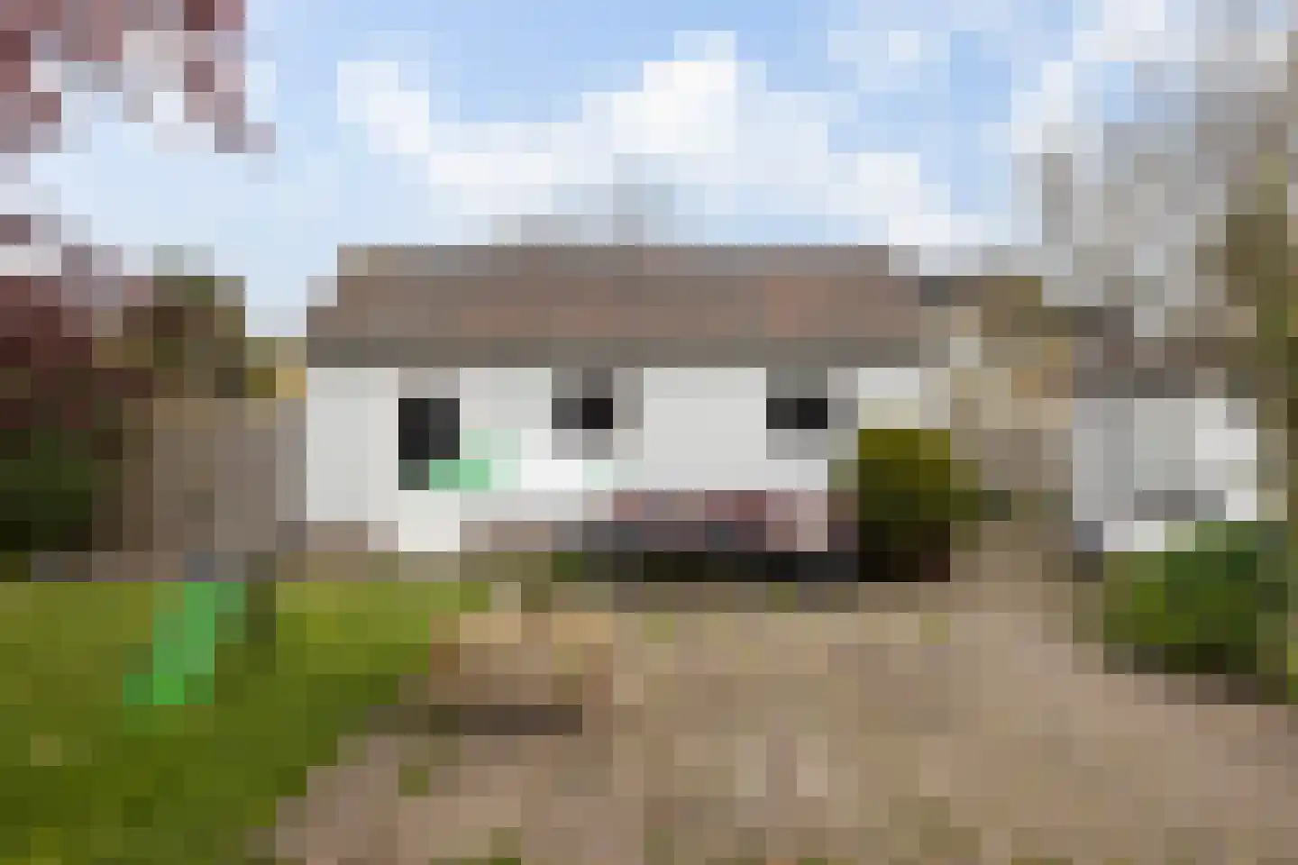 Oostgaag 35 Maasland thumbnail 30