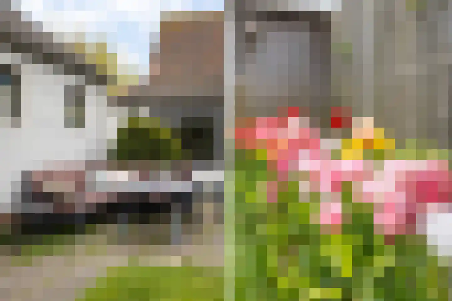Oostgaag 35 Maasland thumbnail 33