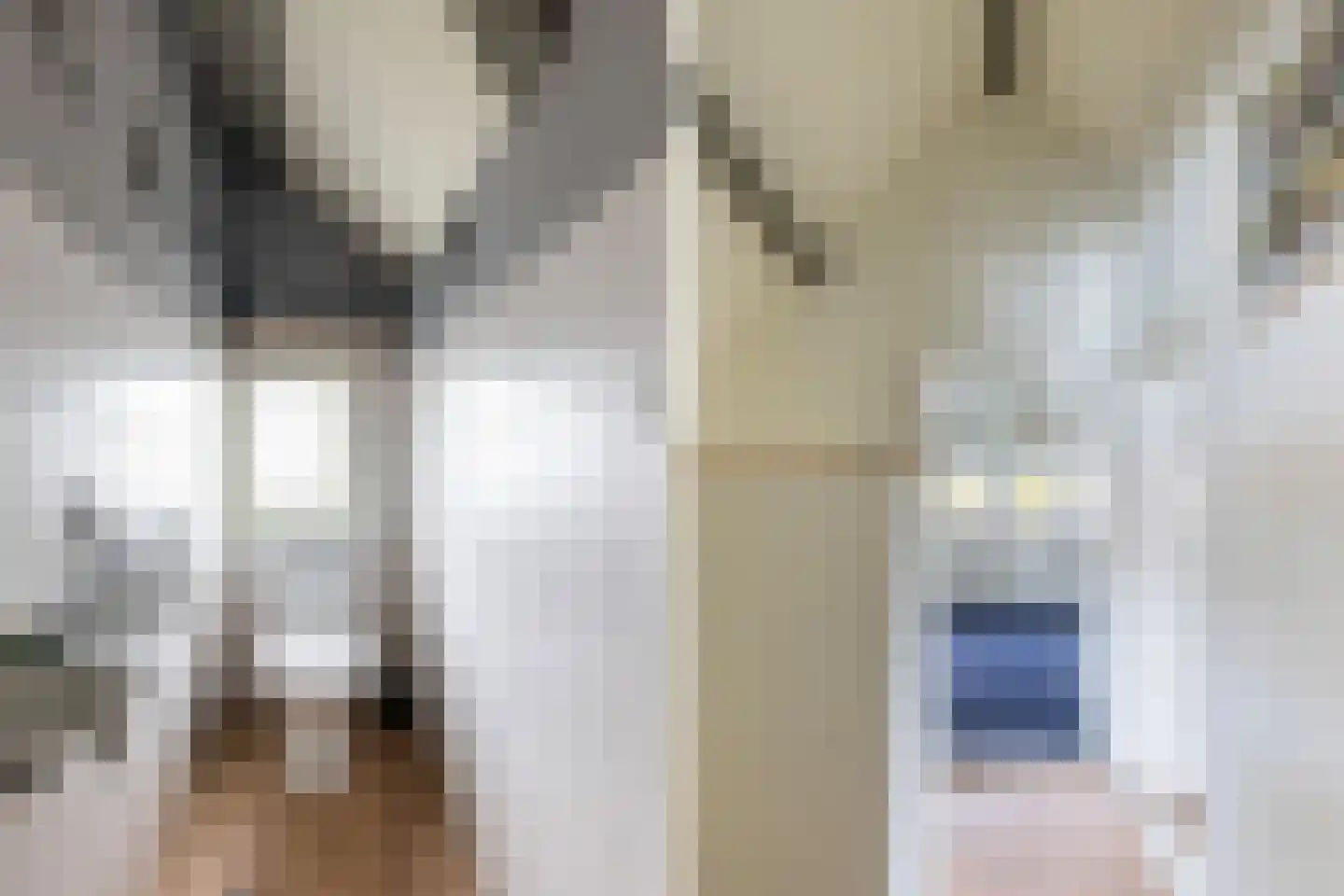 Oostgaag 35 Maasland thumbnail 35