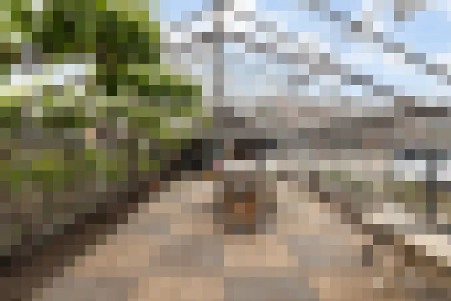 Oostgaag 35 Maasland thumbnail 4