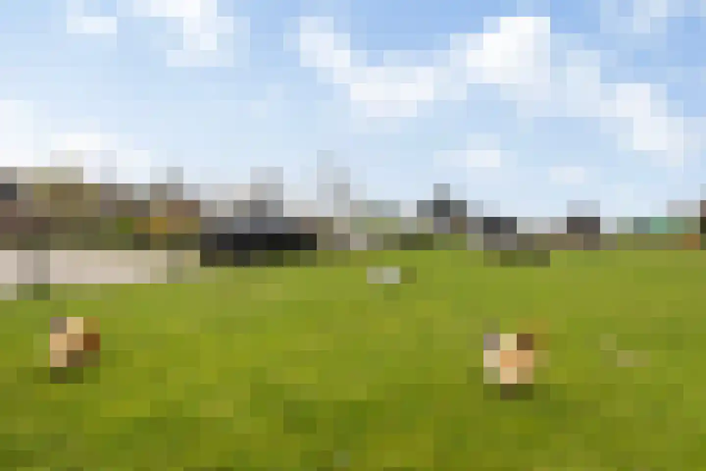 Oostgaag 35 Maasland thumbnail 52