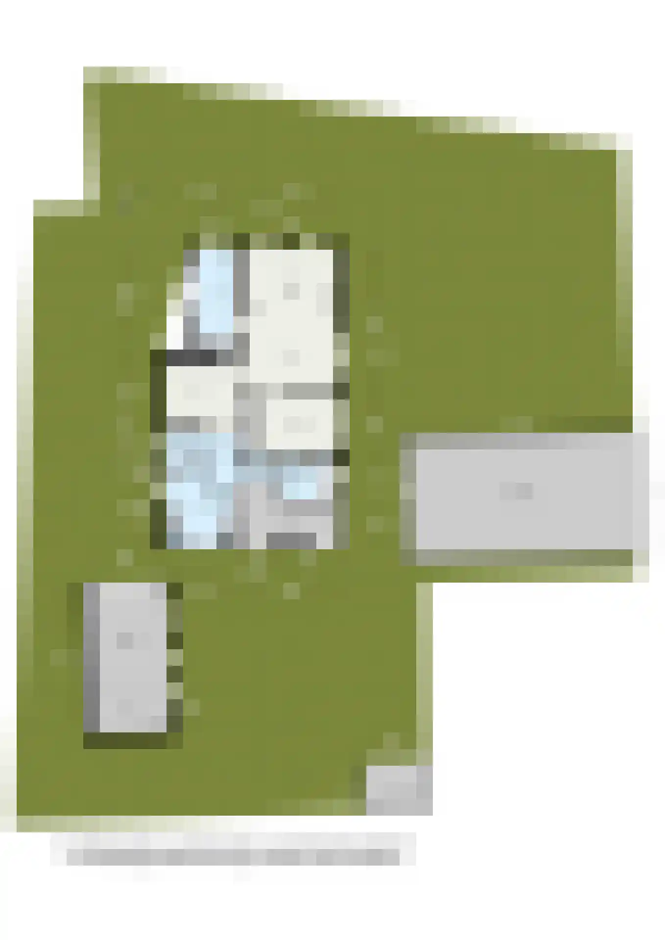 Oostgaag 35 Maasland thumbnail 54