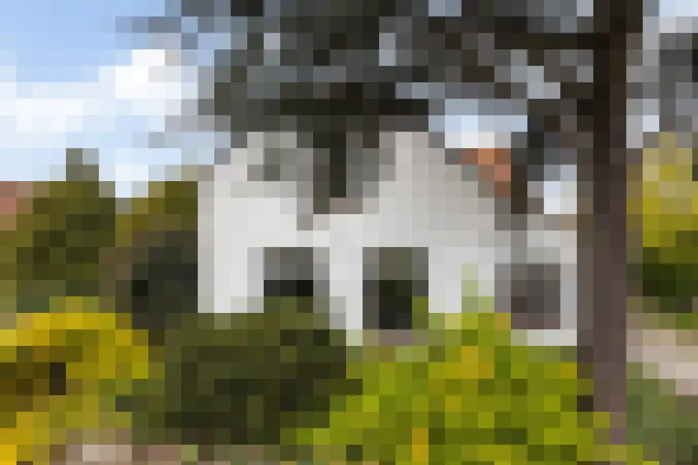 Oostgaag 35 Maasland thumbnail 8
