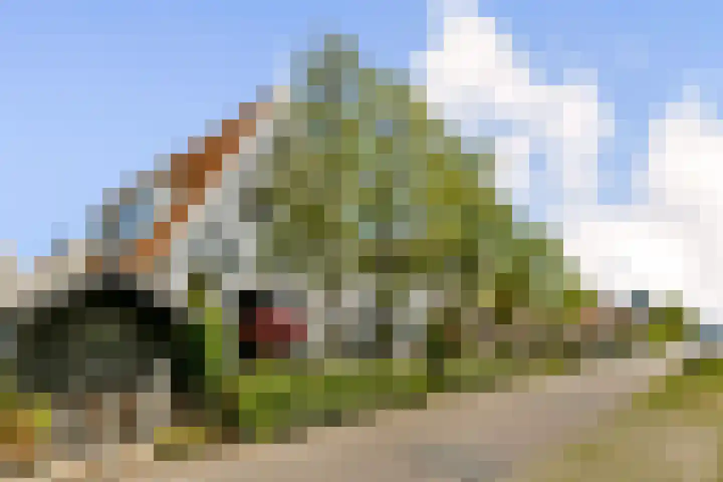 Oostgraftdijk 22 a Oost-Graftdijk thumbnail 5
