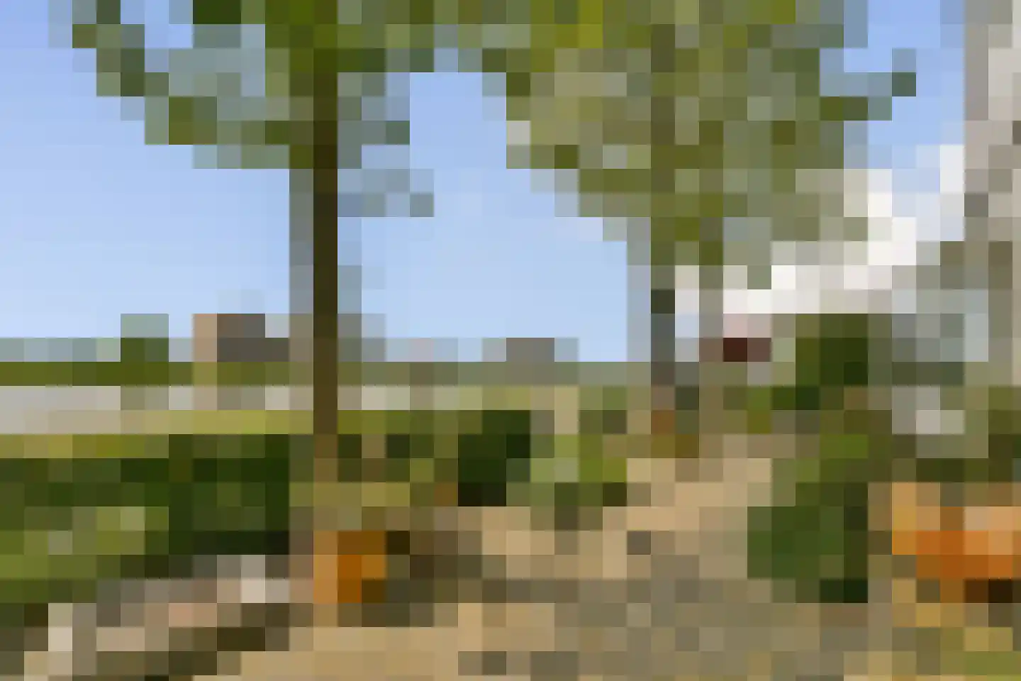 Oostgraftdijk 22 a Oost-Graftdijk thumbnail 8