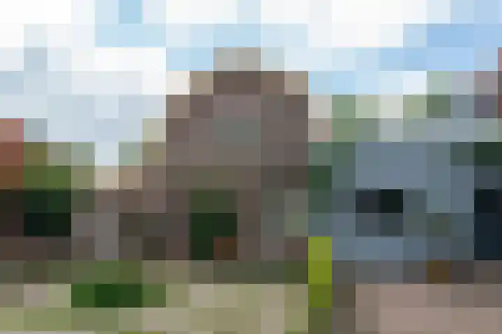 Oostgraftdijk 24 Oost-Graftdijk thumbnail 42
