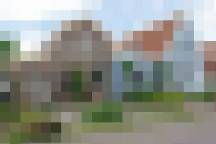 Oostgraftdijk 24 Oost-Graftdijk thumbnail 43