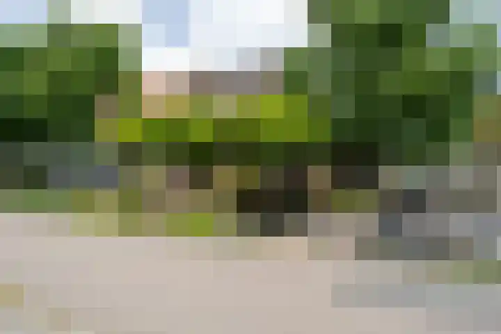 Oostgraftdijk 24 Oost-Graftdijk thumbnail 44